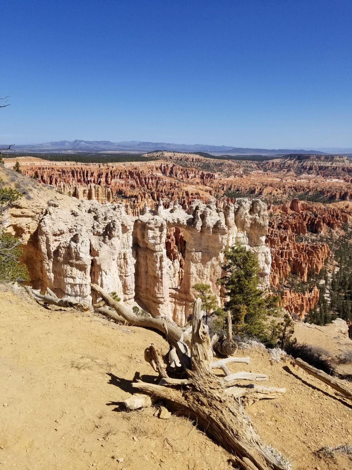 Bryce Point to Inspiration Point 